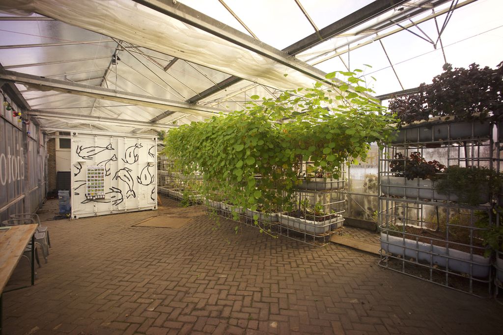 aquaponics greenhouse