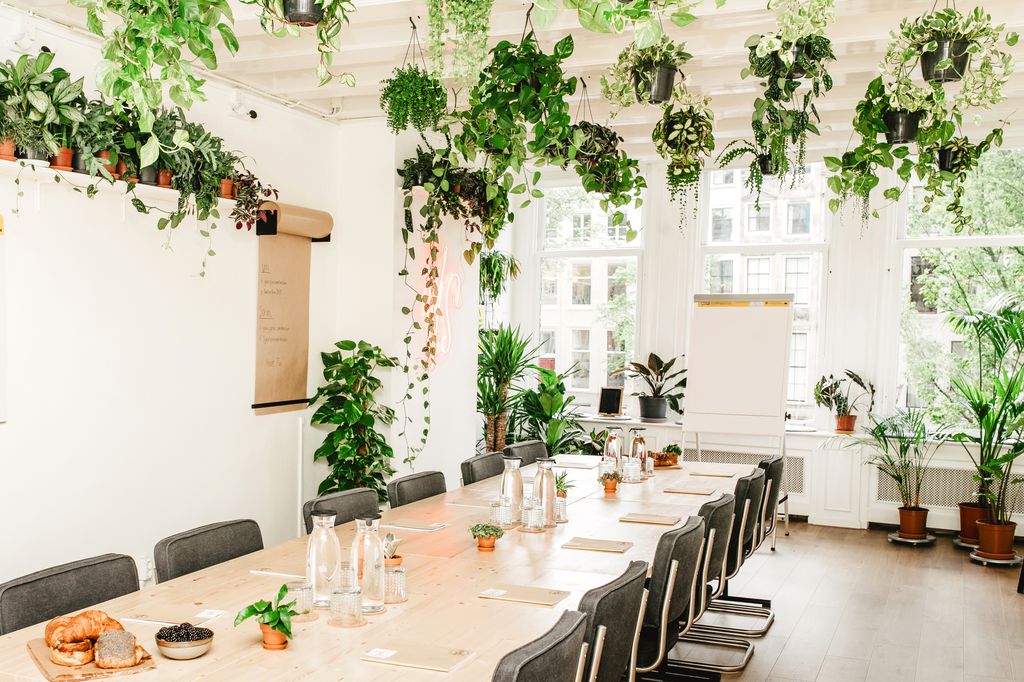 The Greenhouse in Boardroom