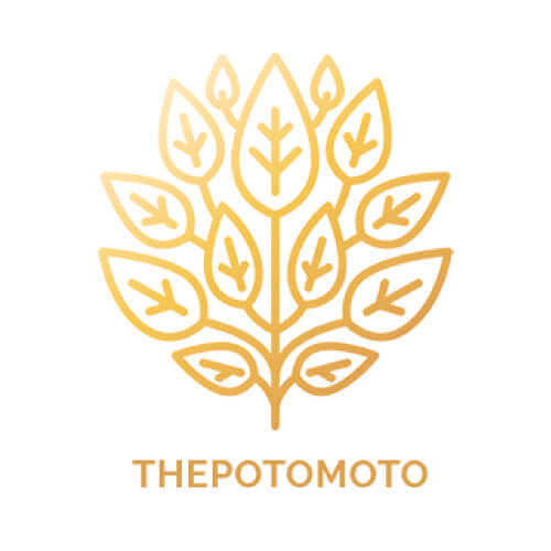 THEPOTOMOTO