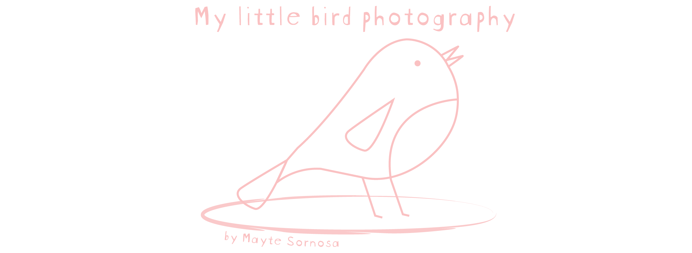 My Little Bird Photography