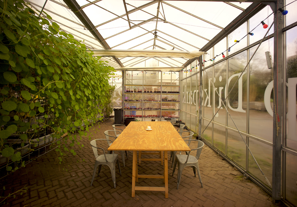 aquaponics greenhouse