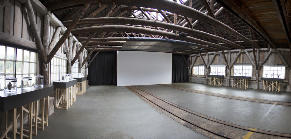 Sluisdeurenloods