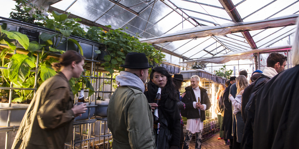 aquaponics greenhouse