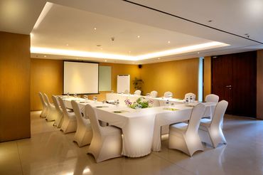 Professional Meeting Room